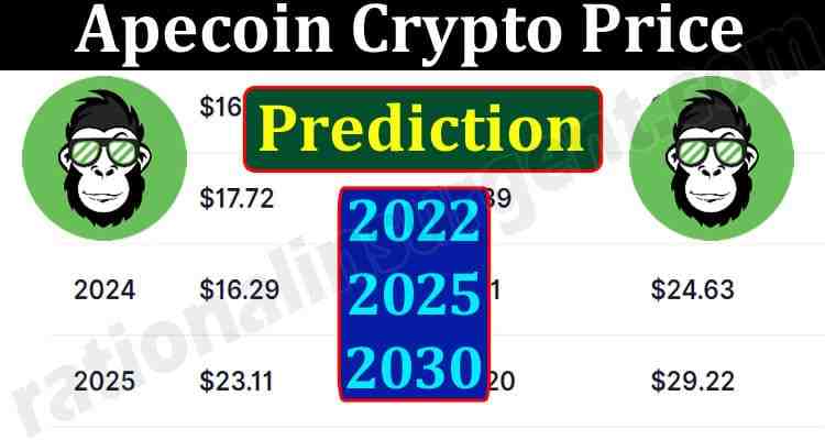 Quel crypto pour 2025 ?