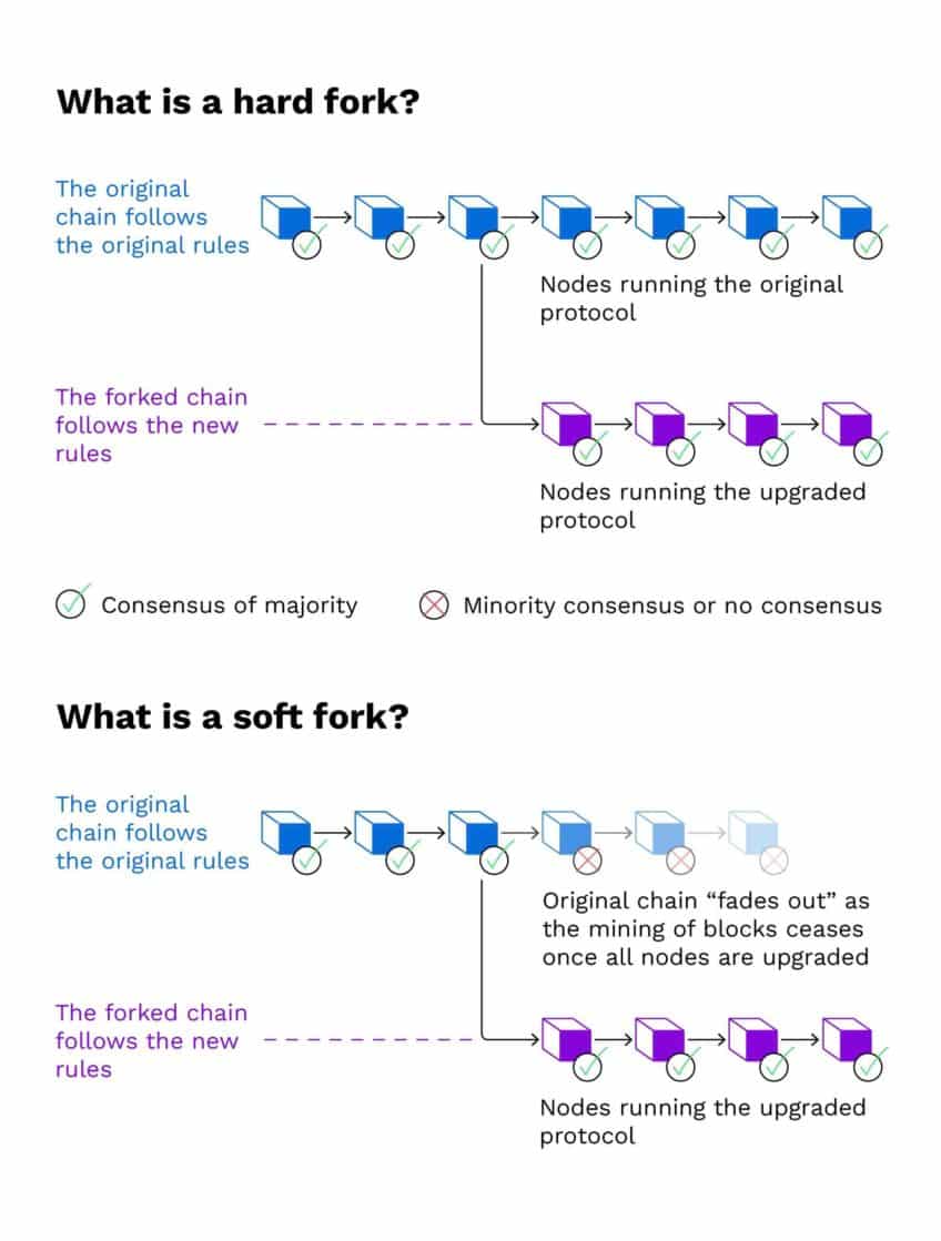 Quel est le fork le plus connu de Bitcoin ?