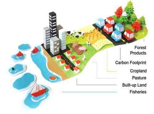 Quelle est la différence entre empreinte écologique et empreinte carbone ?