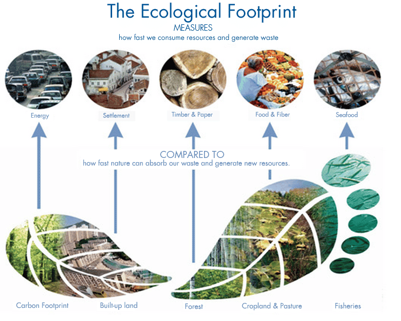 Quelles sont les deux catégories d'impacts environnementaux ?