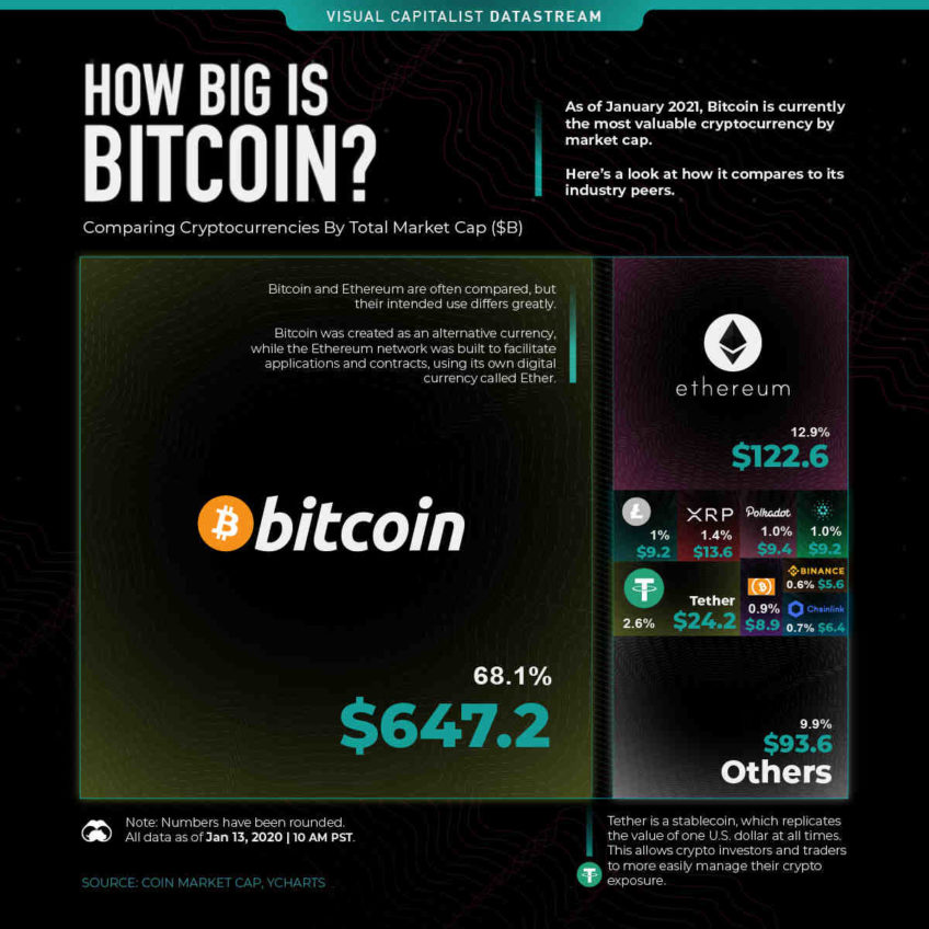 Qui possède le plus de Bitcoin ?