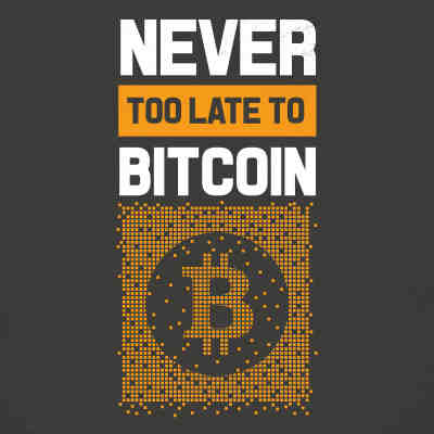 Quelle est la quantité maximale de bitcoins qu'il y aura jamais ?