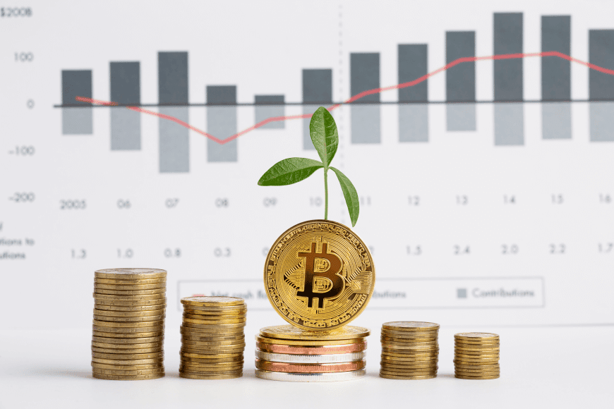 Quelle somme investir dans le Bitcoin ?