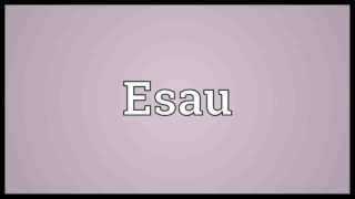 Qui Esaü Symbolise-t-il ?
